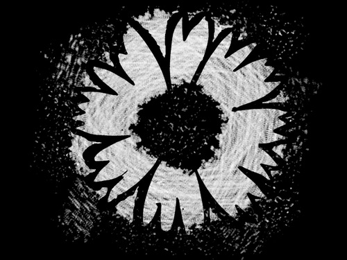 FLOWERStheFilm's profile picture. An abstract, surreal horror film centering around six dead women waking up in the crawl space below their killer's house. CURRENTLY IN PRODUCTION