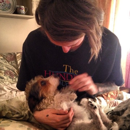 TobyDCLXVI's profile picture. ATC OG • Travel loving, heavily tattooed, aspiring photographer. I want a beard and a log cabin with a lake view.