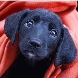 hardentam's profile picture. God is love!  Live Laugh Love!  Life is way too short!