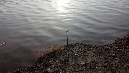 http://t.co/6MxnhS3NK0 was created to provide fishing information to fishermen in and around Central and Upstate NY.  GET OUT AND FISH!!