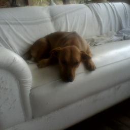 MagaliGui's profile picture. 