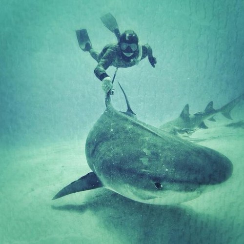 Johnflynn74's profile picture. Irishman, living in sunny dublin_Ireland, Loves Shauna Flynn, Baby Finnian & Faolan, Millie ,Crossfit,Diving Snowboarding :)