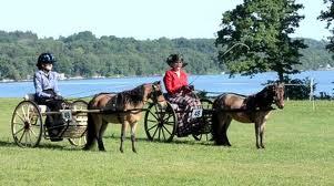 LDC strives to promote the art and traditions of carriage driving.  Always the 3rd weekend in July; always free and open to the public. https://t.co/Sf7vxn9Eea.