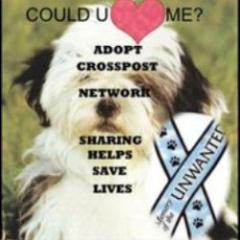 CROSSPOSTING FOR ANIMALS

SHARE TO SAVE A LIFE
