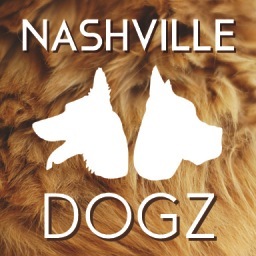 NashvilleDogz's profile picture. All about the dogz! Nashville's best pet-sitting and dog-walking service. Email us at woof@nashvilledogz.com.