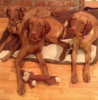 Jbstuckey's profile picture. 