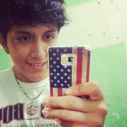 Hi My Name is Erik,14 years young, and I'm from Brazil. #1Dfamily #BoyDirectioner.