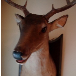 OddCrime's profile picture. Strange crimes committed daily