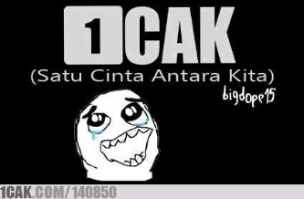 Gimana bioku? Bagus gak?