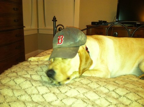 JStagnone's profile picture. Husband, dad, PC Friar.