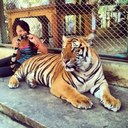 Cindy Qu - @CC_QQ - Twitter