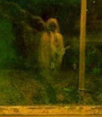 GhostlyPlaces Profile Picture