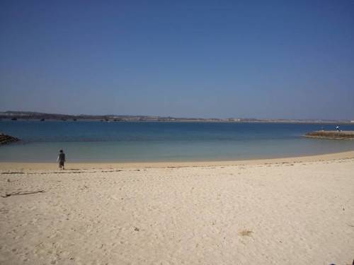 shimaKousaku01's profile picture. 温泉が大好きです。