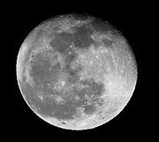 Moon-eyed, Southern Born, Southern Bred, by the Grace of God, when I die I will be Southern Dead. #SOT #SOV #Constitution