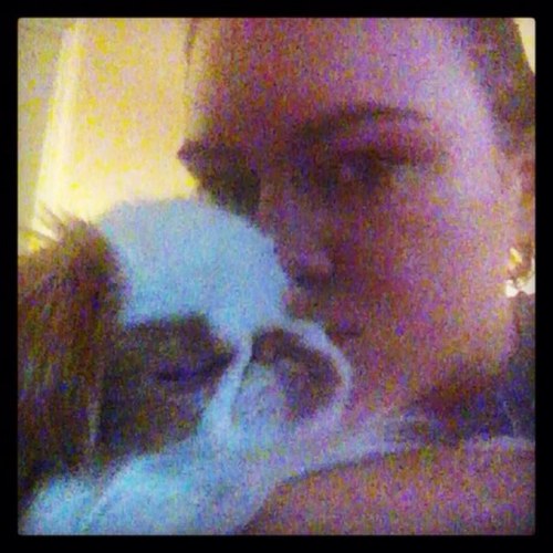 amjarvis's profile picture. 