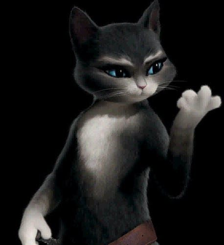 kittysoftpaws31's profile picture. Love baseball ⚾️ hockey 🏒 and lacrosse 🥍. I LOVE cats 🐈!! US Navy veteran!!