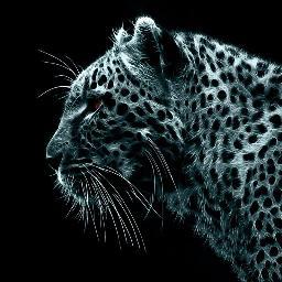 cfsd_limacunha's profile picture. Mais um aprendiz dos tempos modernos que  a cada dia se torna mais modernizado.