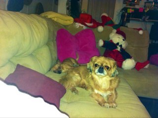 marlenestubley's profile picture. 