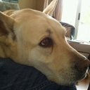 Michael Helms - @Glimmertwin13 - Twitter