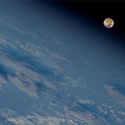 abreucons's profile picture. 