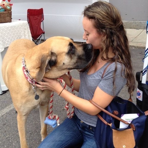 SarahElyse23's profile picture. 