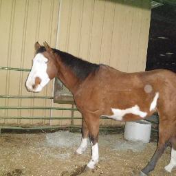 7buck's profile picture. 