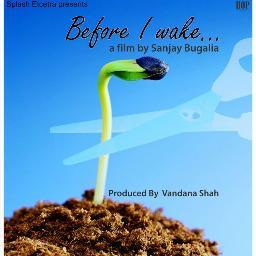 director, writer,