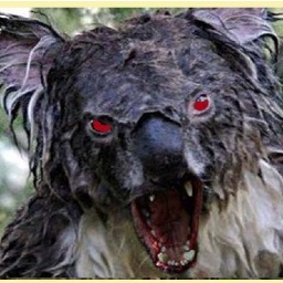 Just your friendly, neighbourhood DROP BEAR #Parody #NoFucksGiven ||