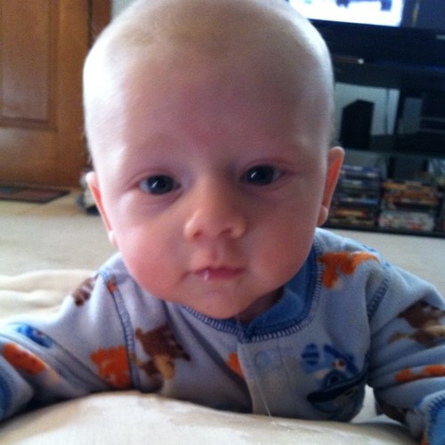 meghan_atchison's profile picture. 