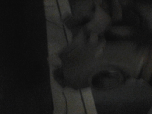 weyyy bien batooo, con algunas gotas!!