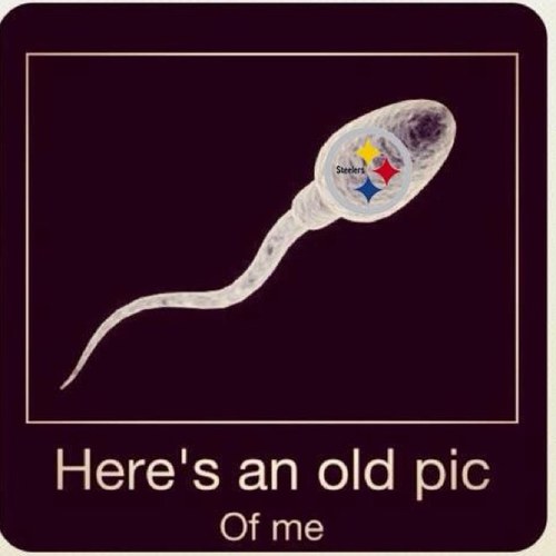 Ecortez104's profile picture. disposable cigerette lighter repair man. bleed #blackandgold. #steelers. #gentleman jack.