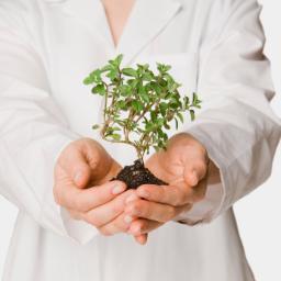 DrJeanPD's profile picture. Physician by profession. Natural perfumer by avocation. Conservation advocate. Dancer in my dreams.