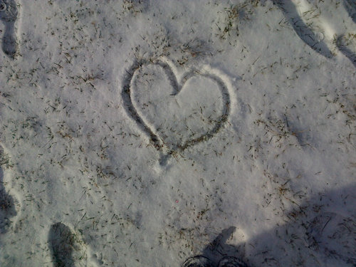 Nothing_neww's profile picture. Follow me if you have depression, or different forms of it. I follow my followers back3 dm if you ever need anything!