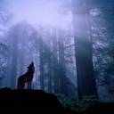 Mary  Sisson - @IrishAmPride - Twitter