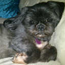 Alisa Jordan - @AlisJor - Twitter