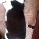 Catherine Irving - @borisesmum - Twitter