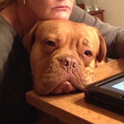 hancodevos's profile picture. Een dag niet gelachen..... Is een dag niet gelachen!