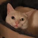 steve brent - @Brent4Steve - Twitter