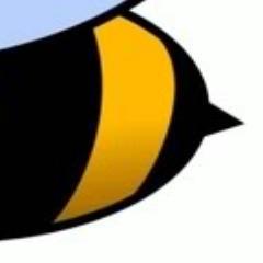 sillyb33's profile picture. 