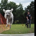 Jon Ault - @jonnyault - Twitter