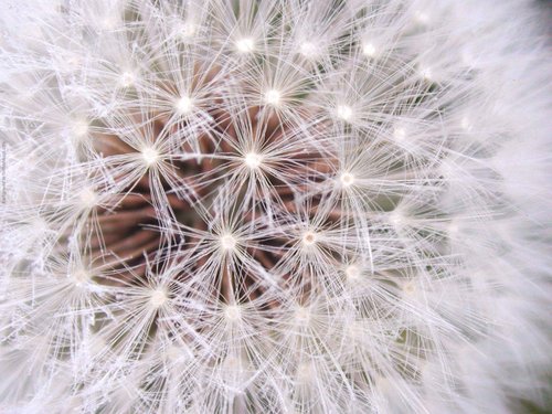 HealthNinja's profile picture. Spreading News and Knowledge of good health to the world