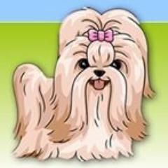 We are devoted entirely to Shih Tzu dogs!!
