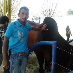 luisedwardogar3's profile picture. 