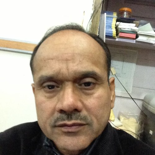 sunilbassi25 Profile Picture