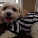 Debbie Knight - @debbie_knight - Twitter