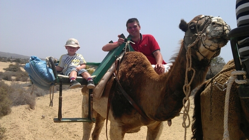 thomasraplarsen's profile picture. 