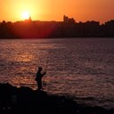 amanda poon-jones - @amandapoonjones - Twitter