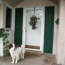 David Olson - @wildweezil - Twitter