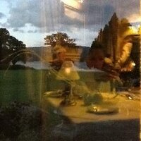 Michele Wood (@wood_michele) 's Twitter Profile Photo