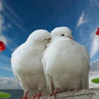 A Vata (@avata15) 's Twitter Profile